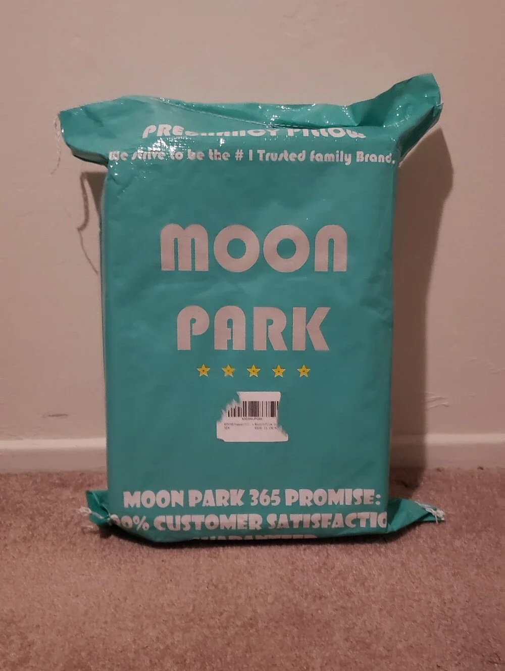 Moon Park Pregnancy Pillow NIP